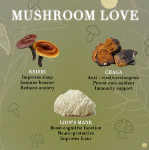 Lion’s Mane vs. Chaga vs. Reishi: The Differences and Benefits