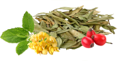 Daily Herbal Tea Blend