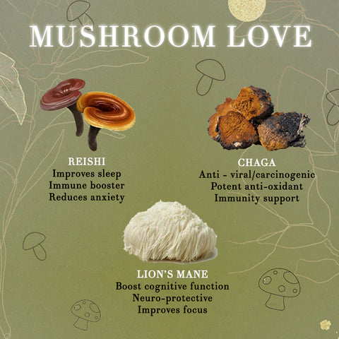 We Love Mushrooms